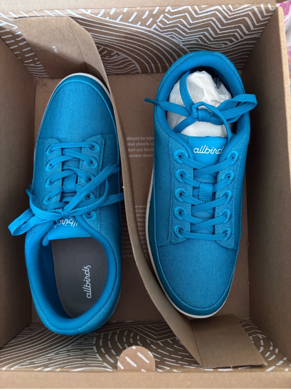 allbirds Teal Blue Low-Top Canvas Sneakers